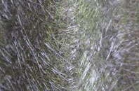 Broadheath fibreglass roof work